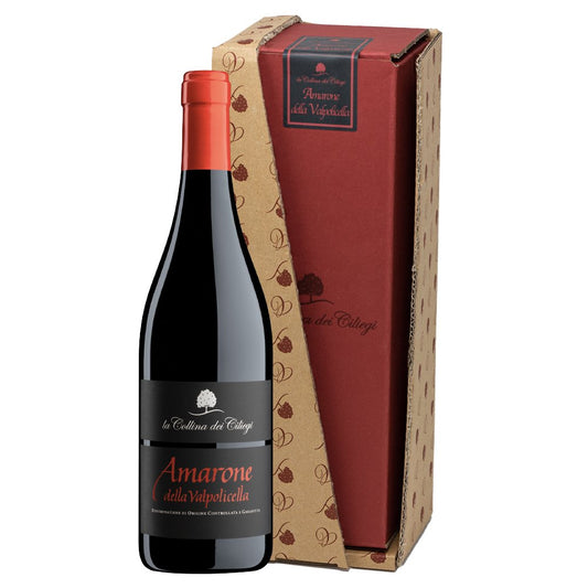 Amarone della Valpolicella DOCG 2019 Magnum - La Collina dei Ciliegi (astuccio)