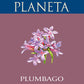 Sicilia Nero d’Avola DOC "Plumbago" 2022 - Planeta