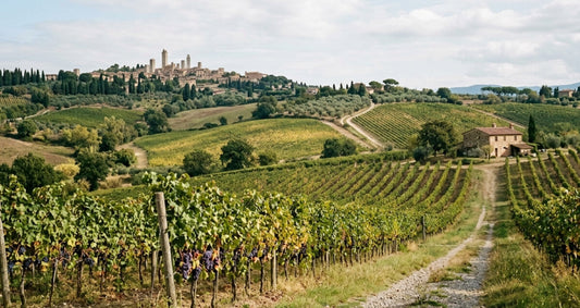 vigneti toscana