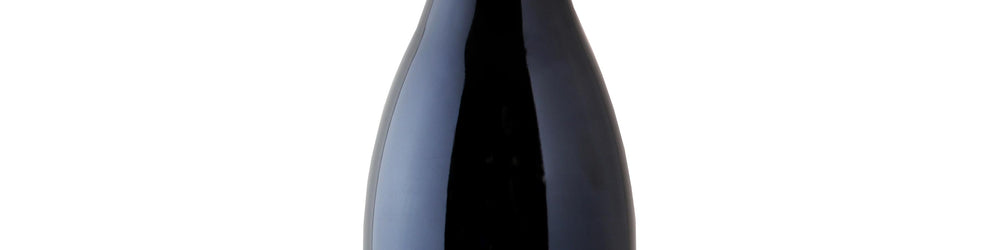 photo Saumur-Champigny 'Beauregard' 2022 Domaine des Sanzay