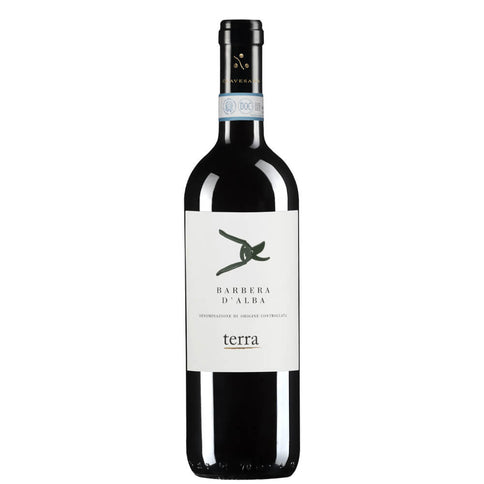 Barbera d’Alba DOC 2022 Magnum - Clavesana
