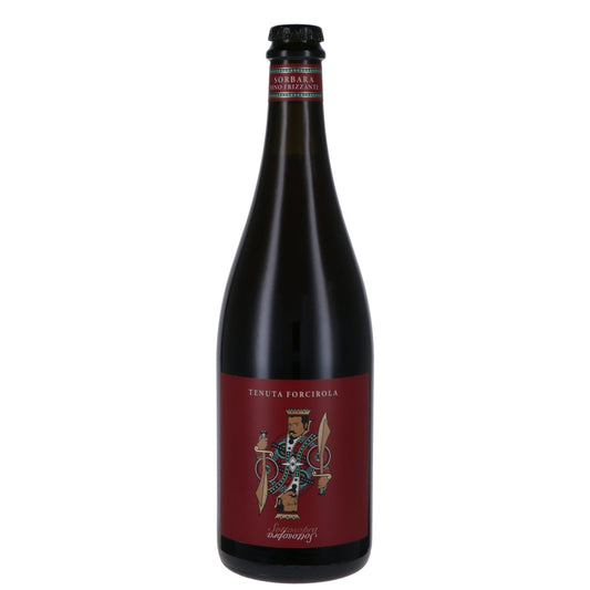 Lambrusco di Modena DOC Ancestrale "Sottosopra" - Tenuta Forcirola