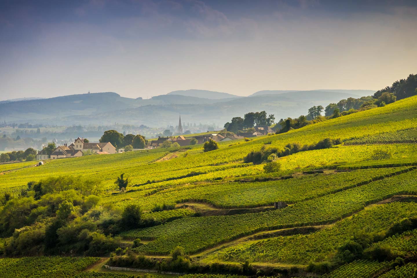 Borgogne Bijou : une collection de trésors