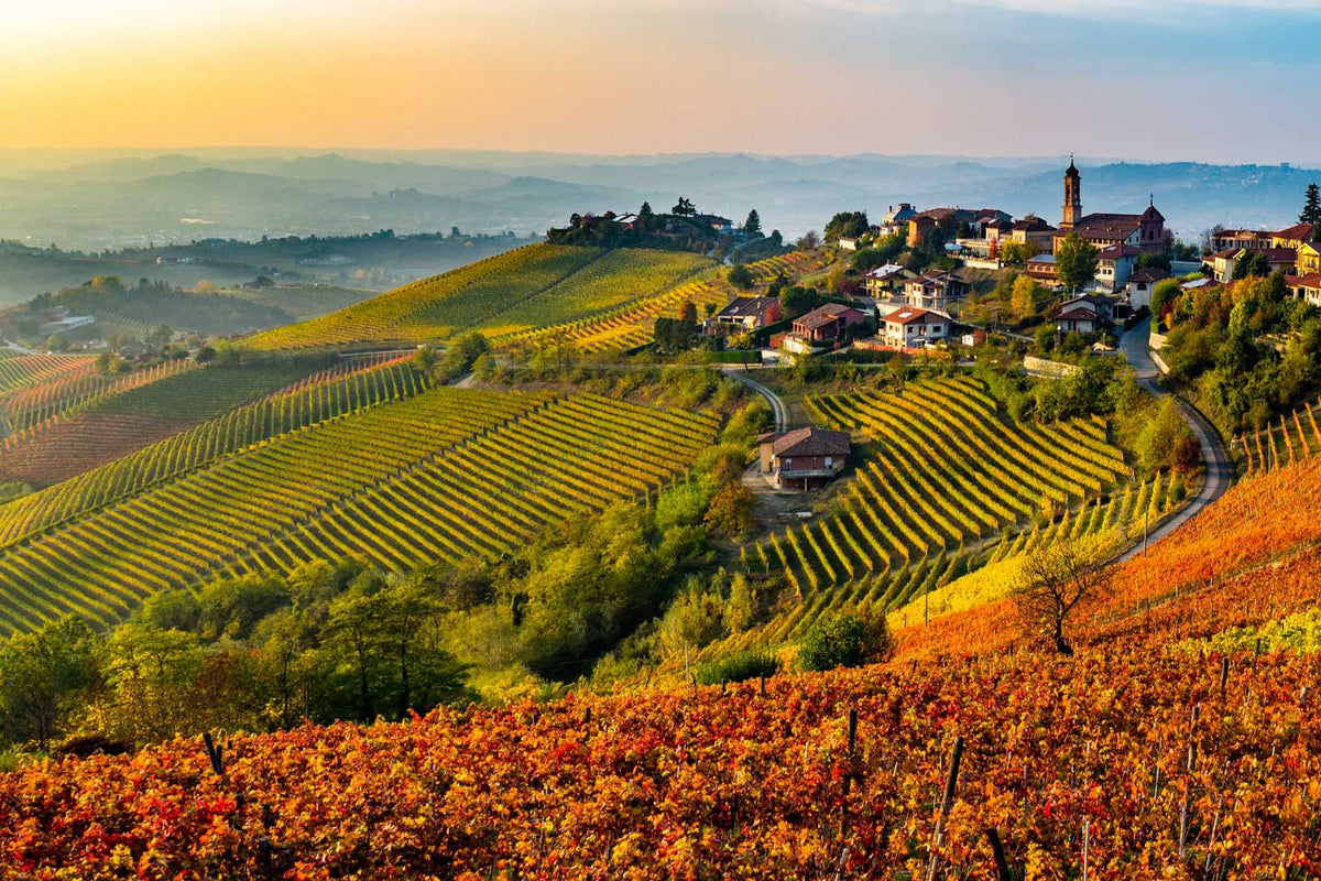 Vins des Langhe