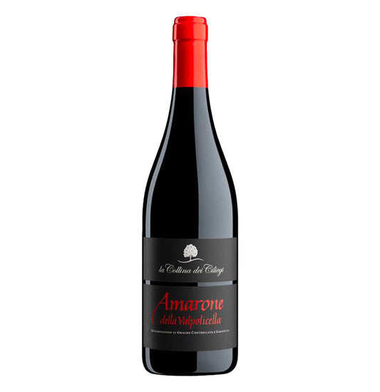 Amarone della Valpolicella DOCG 2020 - La Collina dei Ciliegi