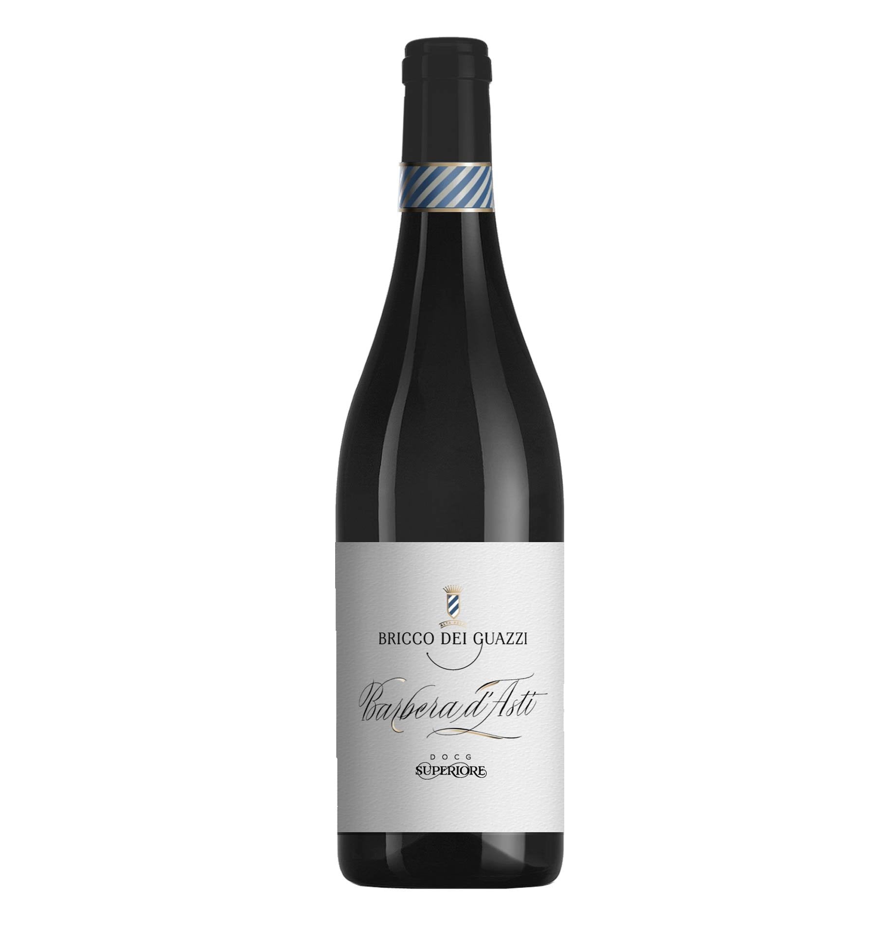Barbera d'Asti Superiore DOCG 2021 - Bricco dei Guazzi