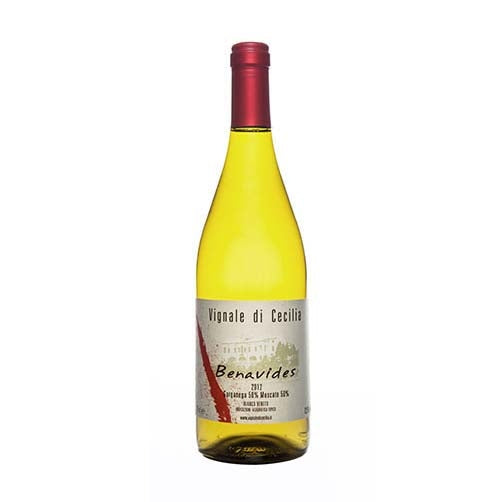 Veneto Bianco IGT "Benavides" 2024 - Vignale di Cecilia