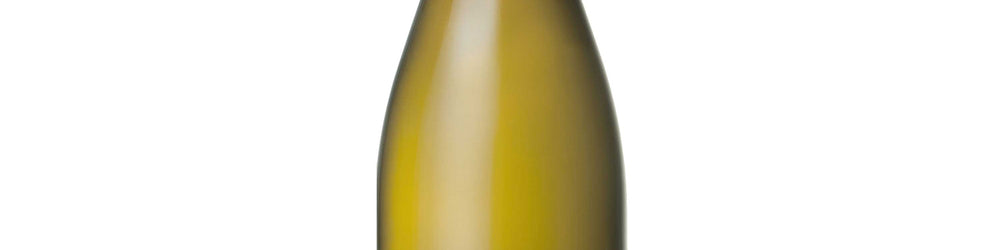 photo Bourgogne Chardonnay 2022 Domaine Chanson