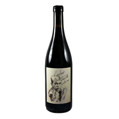 Anjou Cabernet Franc "L'Enfant Terrible" 2021 - Clos de Treilles
