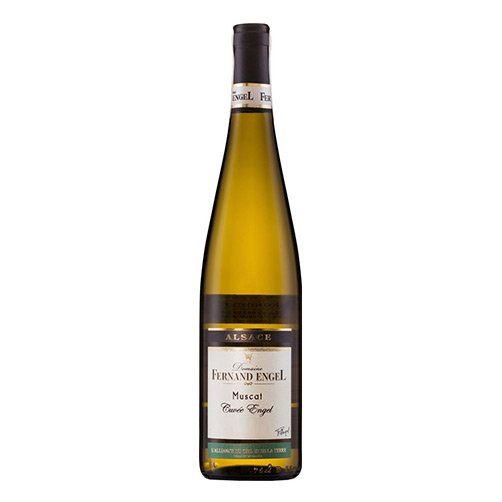 Alsace Muscat Secco Réserve 2021 - Fernand Engel
