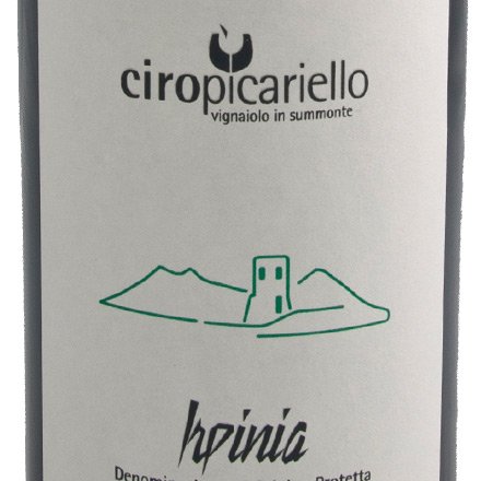 Irpinia Aglianico DOP 2021 - Ciro Picariello