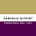 Benaco Bresciano IGT Merlot "Notte a San Martino" 2021 - Famiglia Olivini