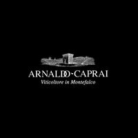 Montefalco Rosso DOC 2023 - Arnaldo Caprai