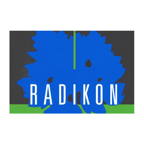 Venezia Giulia Ribolla Gialla IGT 2019 - Radikon (1l)