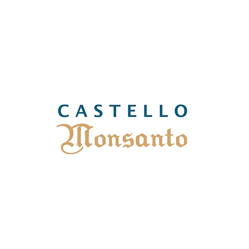 Chianti Classico Riserva DOCG 2020 - Castello di Monsanto