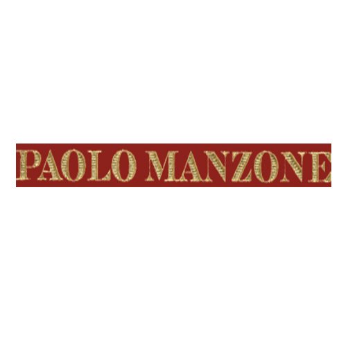 Dolcetto d’Alba DOC "Magna" 2024 - Paolo Manzone