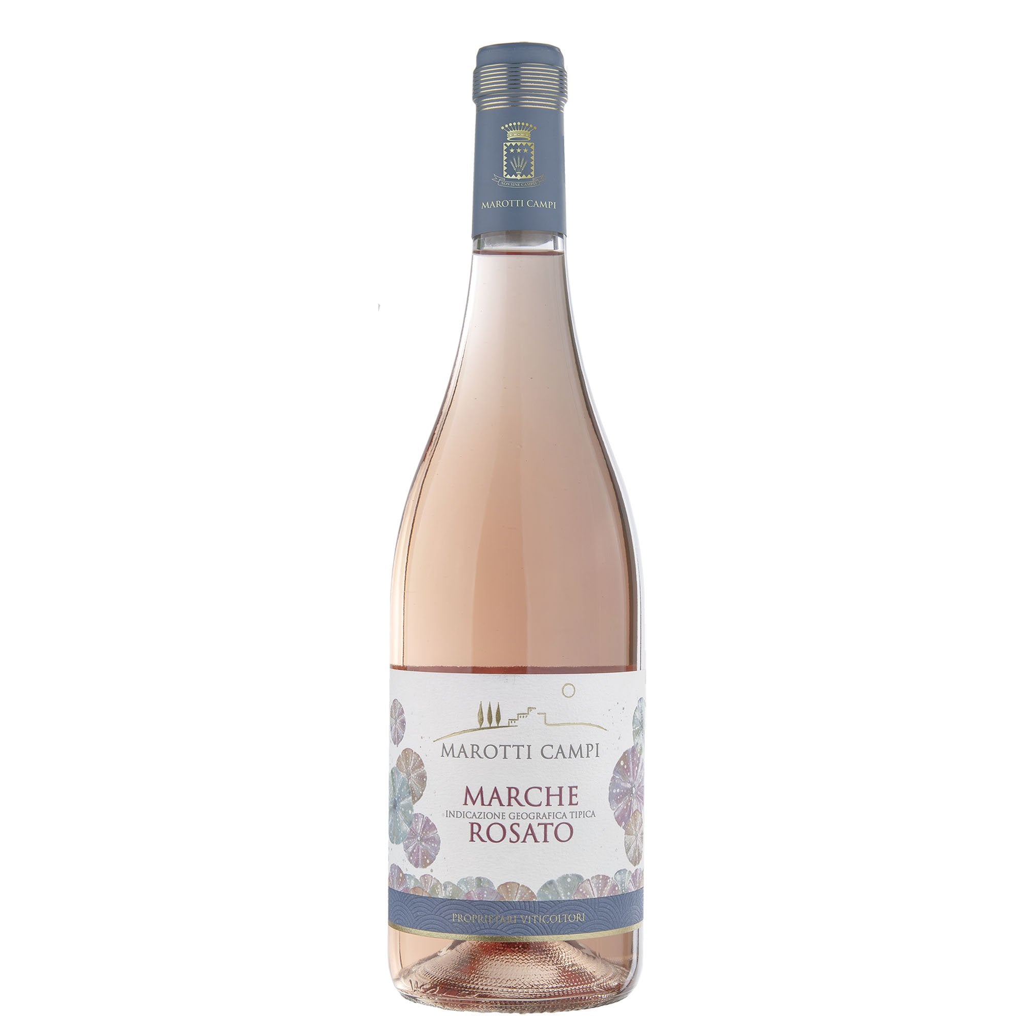Marche Rosato IGT 2024 - Marotti Campi