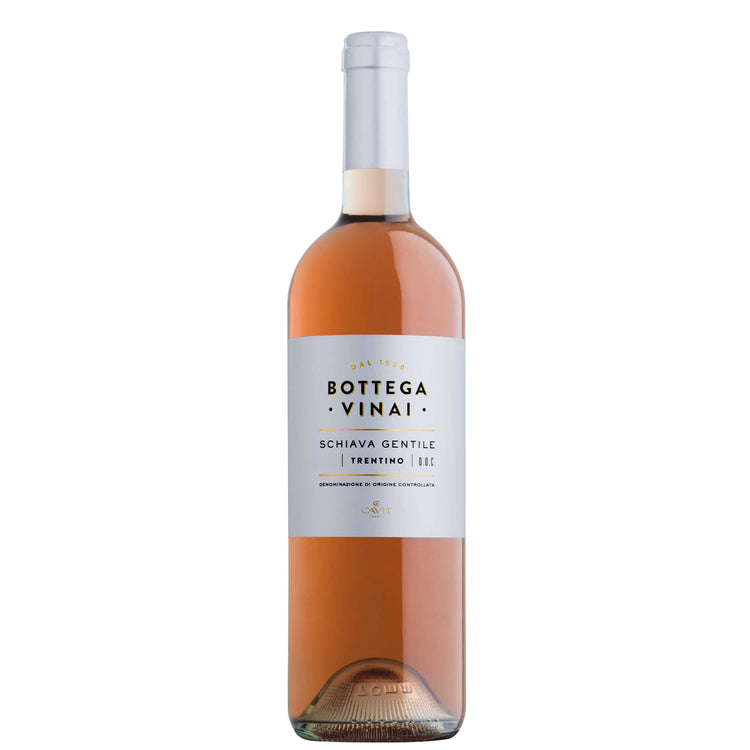 Trentino DOC Schiava Gentile 2025 - Bottega Vinai