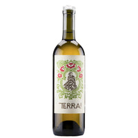 Sillaro IGT “Terra!” 2025 - Villa Papiano